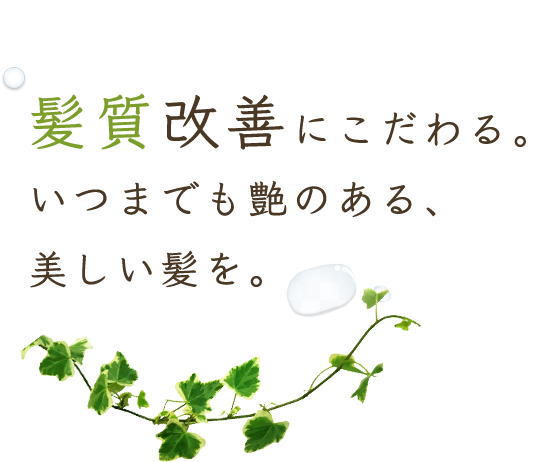 髪質改善にこだわる。いつまでも艶のある、美しい髪を。